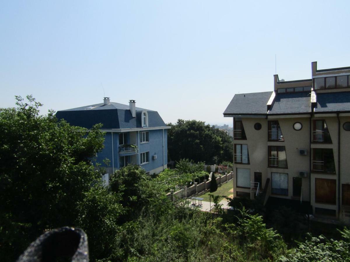 Hostel Papagal Warna Zewnętrze zdjęcie